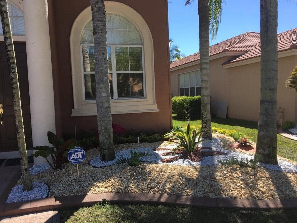 Front Yard Rock & Palm Design