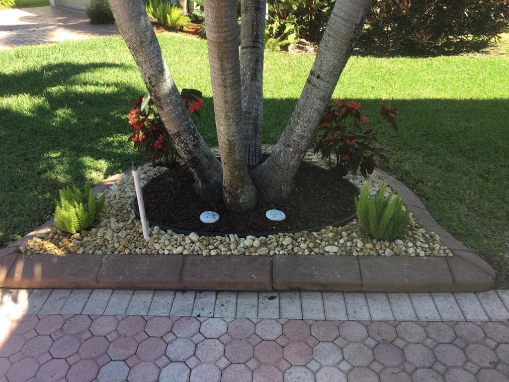 Garden Gravel & Tropical Plantings