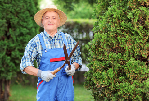 10 Essential Tips for Maintaining a Beautiful Lawn Year-Round