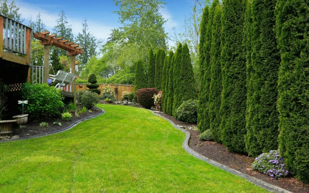 Garden Trends